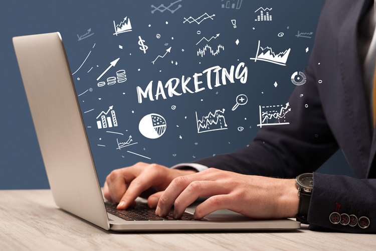 Building a cargo website for marketing purpose